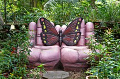 Butterfly Park in Karanji Lake, Mysuru (Mysore), Karnataka - Vushii.com Butterfly Park in Karanji Lake, Mysuru (Mysore), Karnataka - Vushii.com